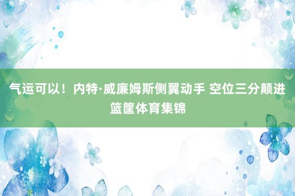 气运可以！内特·威廉姆斯侧翼动手 空位三分颠进篮筐体育集锦