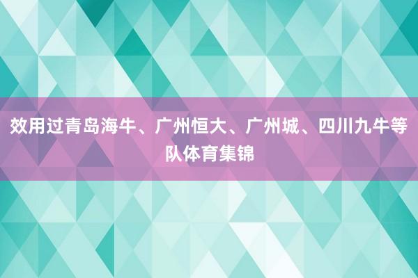 效用过青岛海牛、广州恒大、广州城、四川九牛等队体育集锦