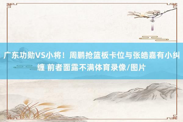 广东功勋VS小将！周鹏抢篮板卡位与张皓嘉有小纠缠 前者面露不满体育录像/图片