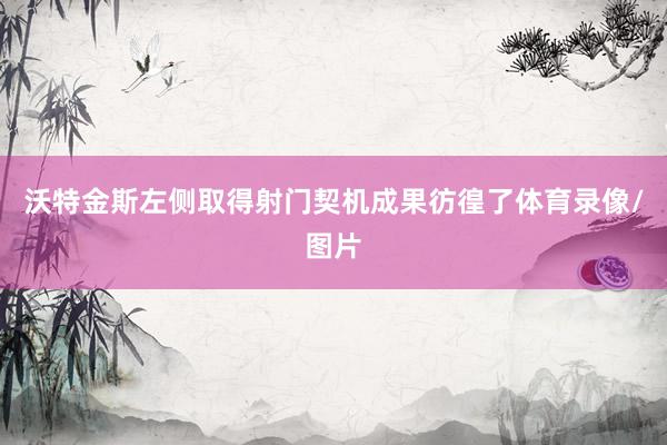 沃特金斯左侧取得射门契机成果彷徨了体育录像/图片