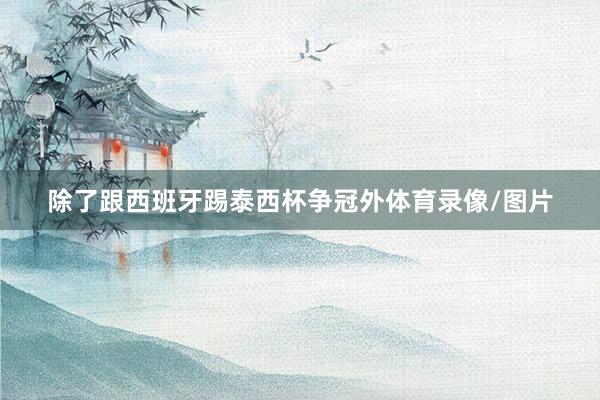 除了跟西班牙踢泰西杯争冠外体育录像/图片