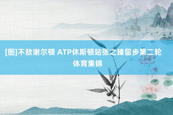 [图]不敌谢尔顿 ATP休斯顿站张之臻留步第二轮    体育集锦
