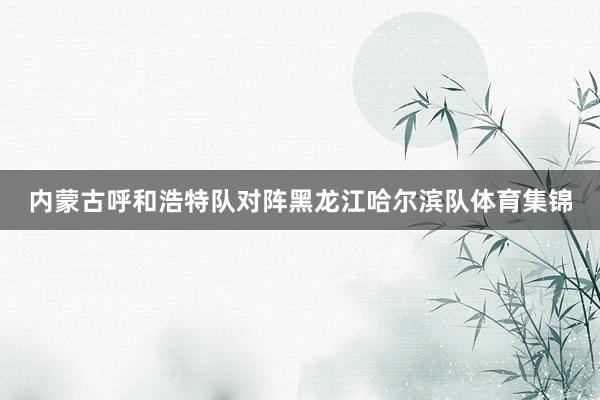 内蒙古呼和浩特队对阵黑龙江哈尔滨队体育集锦
