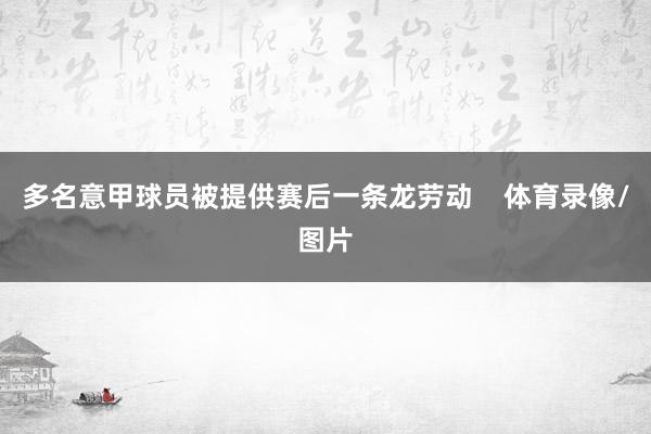 多名意甲球员被提供赛后一条龙劳动    体育录像/图片