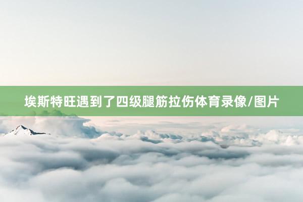 埃斯特旺遇到了四级腿筋拉伤体育录像/图片