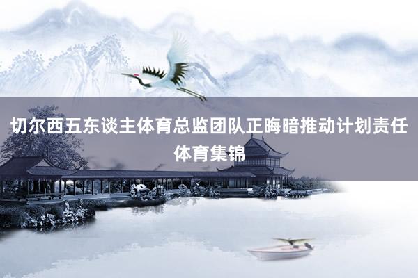 切尔西五东谈主体育总监团队正晦暗推动计划责任体育集锦