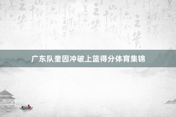 广东队奎因冲破上篮得分体育集锦