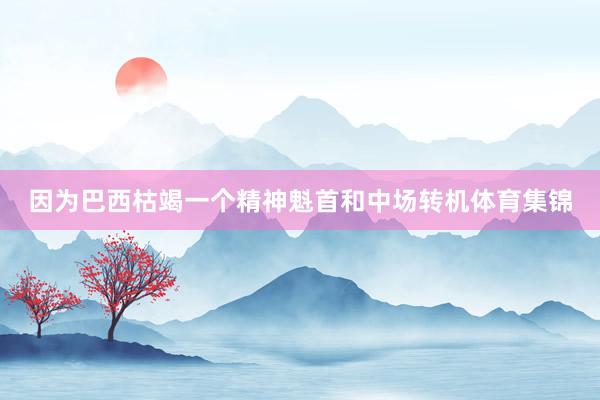 因为巴西枯竭一个精神魁首和中场转机体育集锦