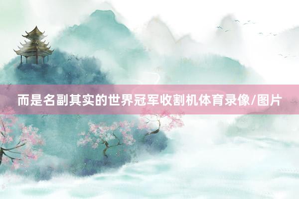 而是名副其实的世界冠军收割机体育录像/图片