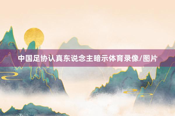 中国足协认真东说念主暗示体育录像/图片
