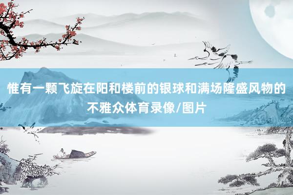 惟有一颗飞旋在阳和楼前的银球和满场隆盛风物的不雅众体育录像/图片