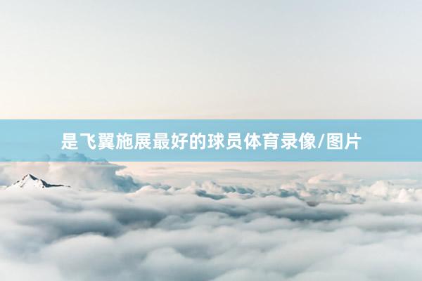 是飞翼施展最好的球员体育录像/图片